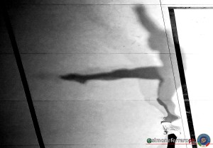 training d2 esp ph ferraro sfa 6577 copia